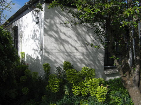The Grove Cottages - Accommodation Georgetown 13