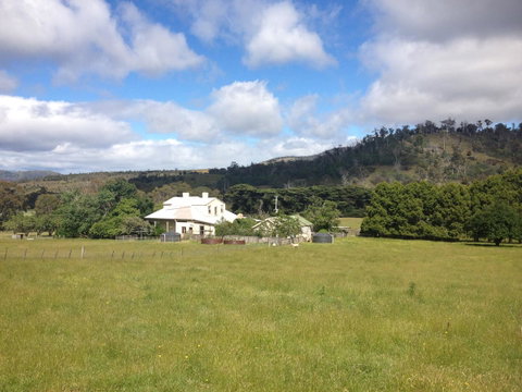 Walnut Cottage - Accommodation Georgetown 19