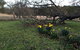 Walnut Cottage - thumb 18