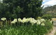 Walnut Cottage - thumb 9