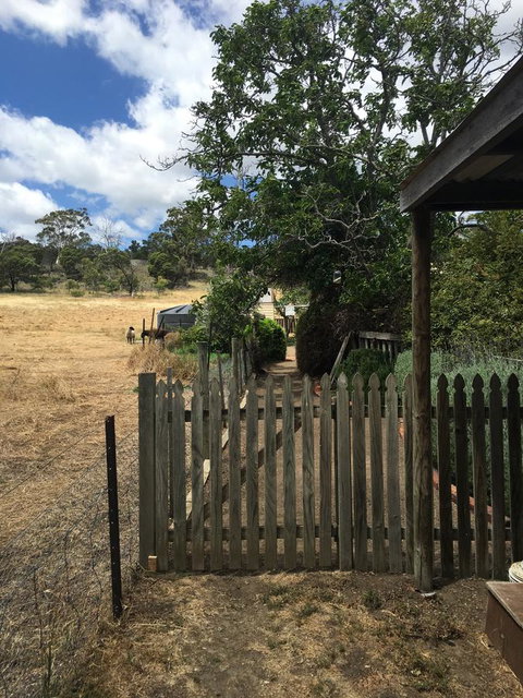 Walnut Cottage - Accommodation Georgetown 13