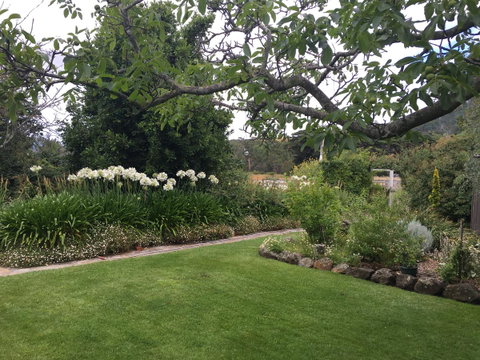 Walnut Cottage - Accommodation Georgetown 15