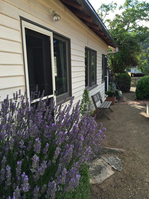 Walnut Cottage - Accommodation Georgetown 0