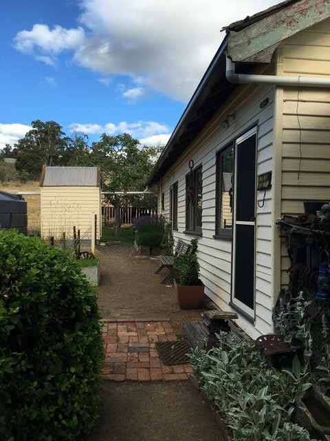 Walnut Cottage - Accommodation Georgetown 12