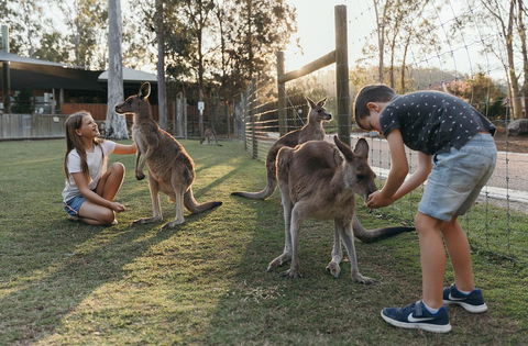 Paradise Country Farmstay - Accommodation Georgetown 1