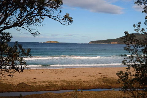 Pebbly Beach Shacks - Accommodation Georgetown 0
