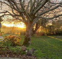 Peg Cottage - Accommodation Georgetown