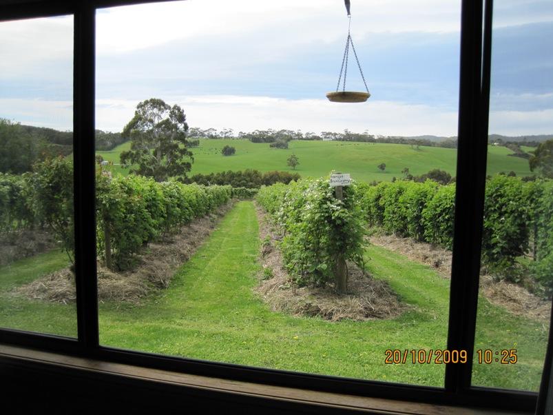Whoorel ACT Accommodation Georgetown