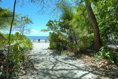 Plantation 2 - Absolute Beachfront - Accommodation Georgetown 1
