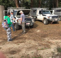 PNL 4WDriving Narbethong - Accommodation Georgetown