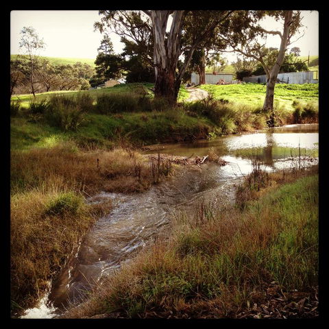River Cottage Barossa -Self Contained-30 Acres-360 Degree Views-Netflix -Wine-Wifi - Accommodation Georgetown 3