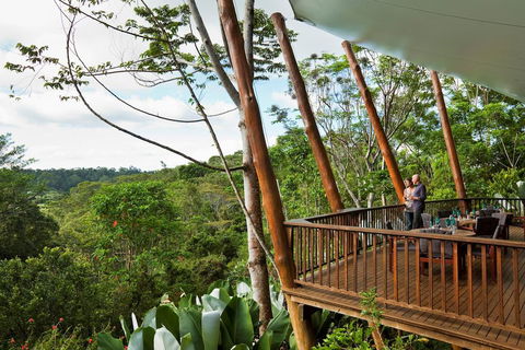 Rose Gums Wilderness Retreat - Accommodation Georgetown 0