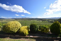 Sancerre Estate