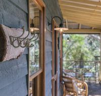 Scribbly Gum - Accommodation Georgetown