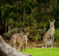 Secura Lifestyle Countryside Kalaru - Accommodation Georgetown