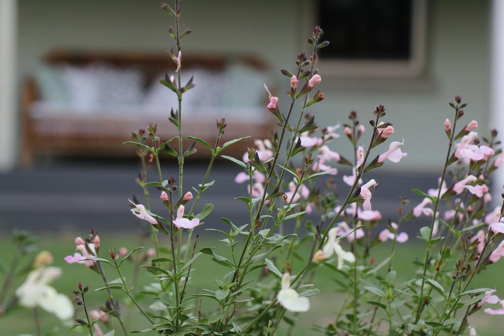Allynbrook ACT Accommodation Georgetown