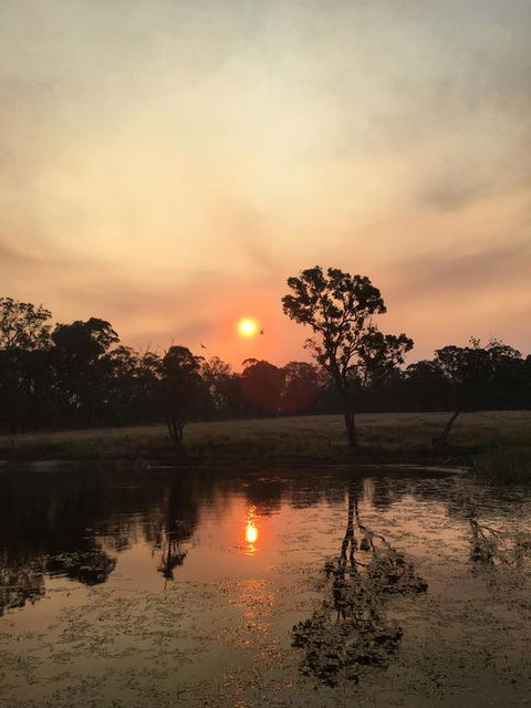 Serenity On Stanthorpe - Accommodation Georgetown 2