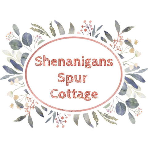 Shenanigans Spur Cottage - Accommodation Georgetown 3