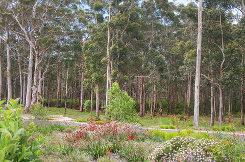Shiraz Studio - Accommodation Georgetown 2