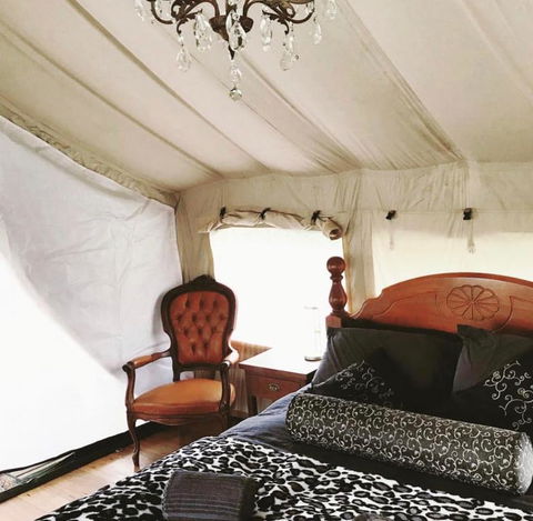 Silk Pavilions Glamping - Accommodation Georgetown 1