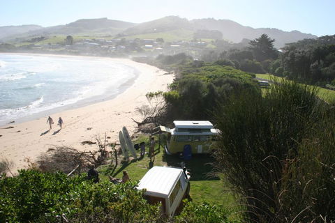 Skenes Creek Beachfront Caravan Park - Accommodation Georgetown 0