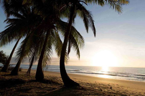 Spice At Oak Award Winning Luxury Absolute Oceanfront House Oak Beach Near Port Douglas - Accommodation Georgetown 1