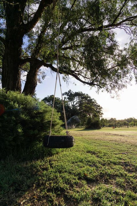 Studio 165 Hidden Gem On 50 Acres With Bay Views - Accommodation Georgetown 3
