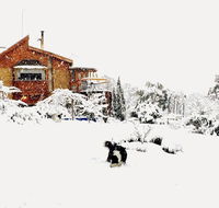 STUNNING HOME WITH AMAZING VIEWS - just 20 mins to the city and only 10 to MONA - Accommodation Georgetown