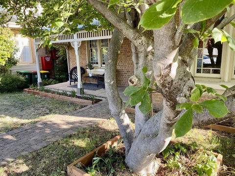SUMMER HOUSE - CENTRAL LOCATION Near PARK - Accommodation Georgetown 0