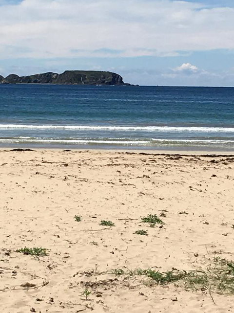Surf Beach Holiday - Accommodation Georgetown 0
