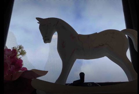 Sweet Home On Elgar - Accommodation Georgetown 3