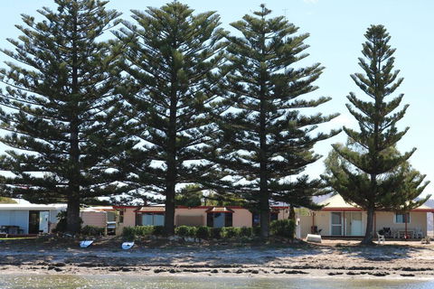 Tall Pines Beach House At Mount Dutton Bay (part Of Coffin Bay Waterways) - Accommodation Georgetown 1