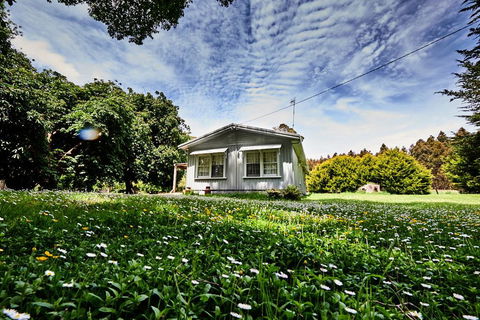 Tarkinegrove - Accommodation Georgetown 0