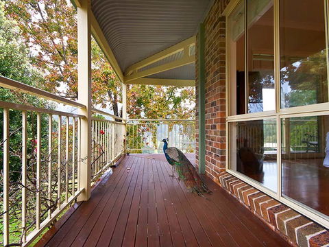 The Acreage Luxury B&B And Guesthouse - Accommodation Georgetown 1
