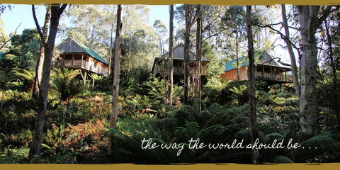 Lemonthyme Wilderness Retreat - Accommodation Georgetown 20