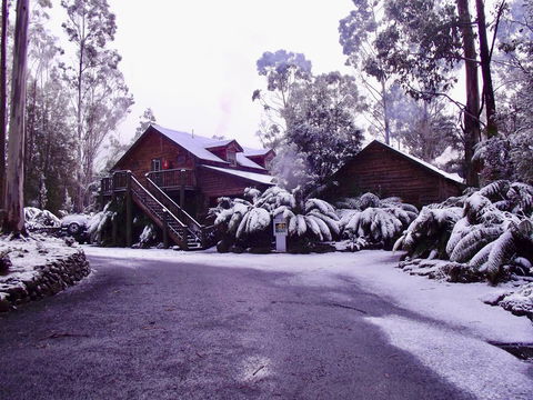 Lemonthyme Wilderness Retreat - Accommodation Georgetown 12