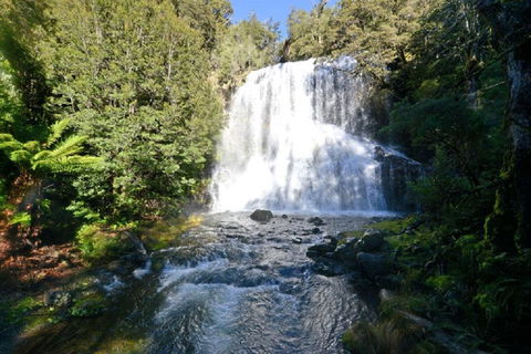 Lemonthyme Wilderness Retreat - Accommodation Georgetown 19