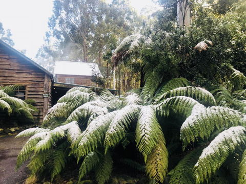 Lemonthyme Wilderness Retreat - Accommodation Georgetown 5