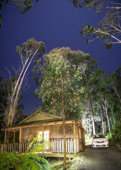 Lemonthyme Wilderness Retreat - Accommodation Georgetown 3