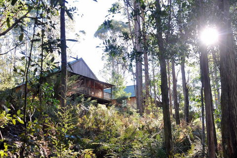Lemonthyme Wilderness Retreat - Accommodation Georgetown 25