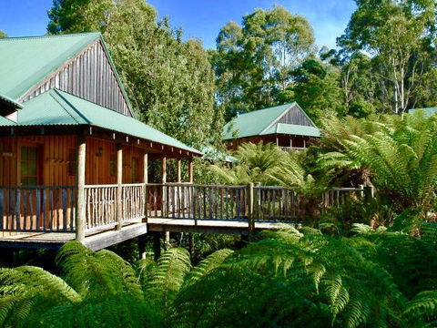 Lemonthyme Wilderness Retreat - Accommodation Georgetown 11