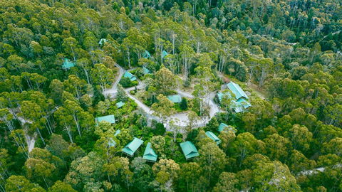 Lemonthyme Wilderness Retreat - Accommodation Georgetown 0