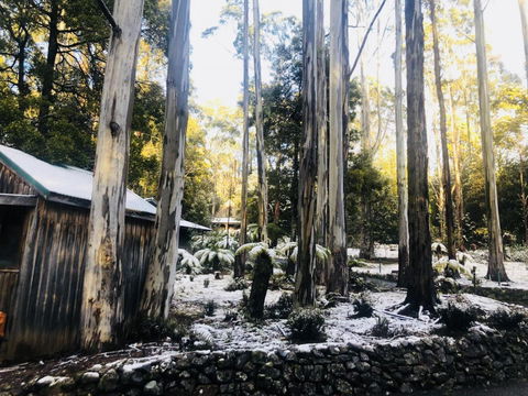 Lemonthyme Wilderness Retreat - Accommodation Georgetown 6