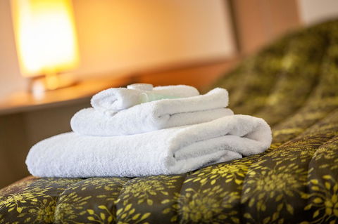 Mornington Inn - Accommodation Georgetown 6
