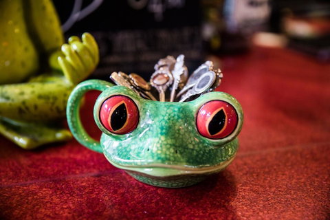 The Pickled Frog - Accommodation Georgetown 13