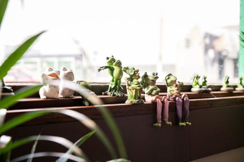 The Pickled Frog - Accommodation Georgetown 12