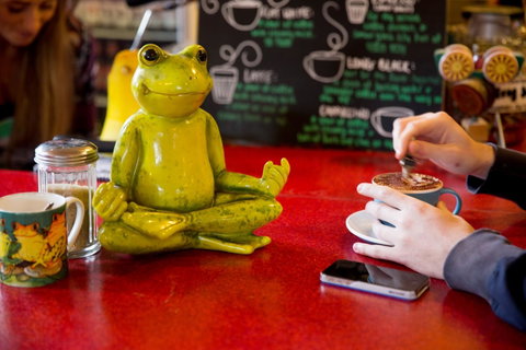 The Pickled Frog - Accommodation Georgetown 30