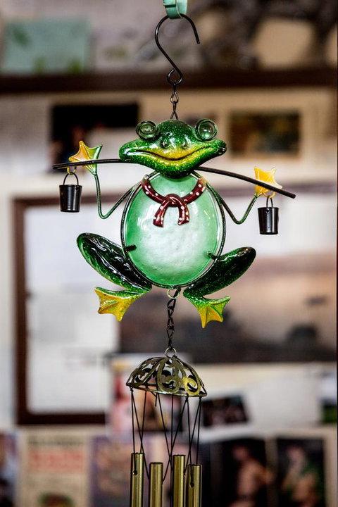 The Pickled Frog - Accommodation Georgetown 35