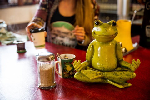 The Pickled Frog - Accommodation Georgetown 32
