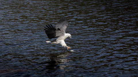 Arthur Riverfront And Sea Lodge Downstream - Accommodation Georgetown 38